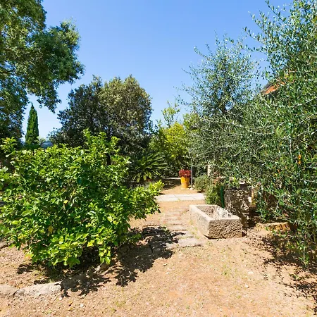 Oliveta 1 By Interhome
